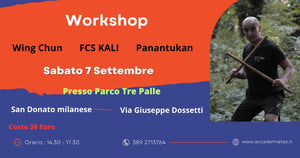 WorkShop   - 3 Settembre   il Global Combat System